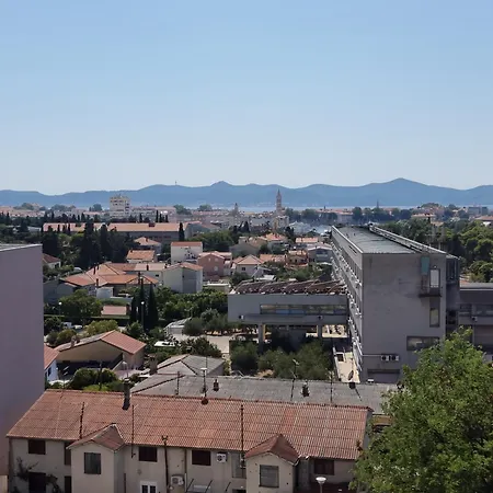 Rosa Zadar